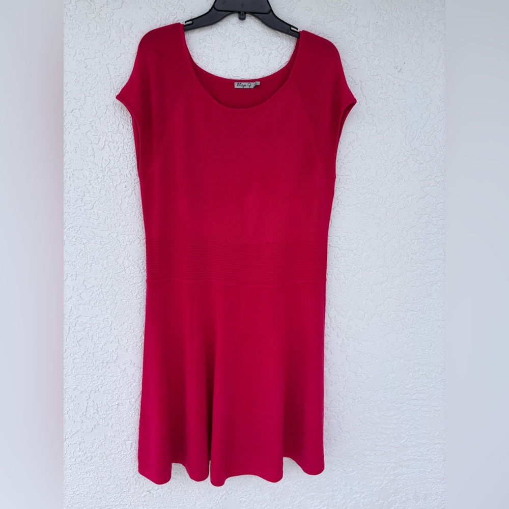 NWOT Easy-Wear Knit Swing Dress